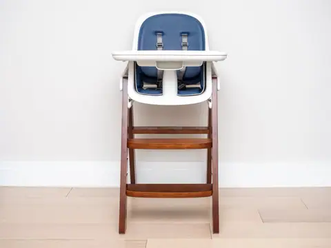 Baby High Chair (50841207558)